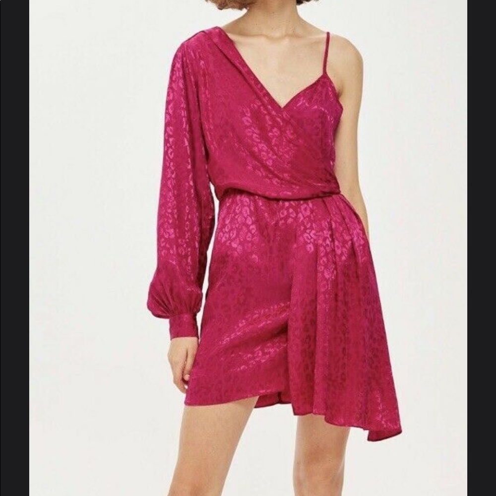 TopShop Pink Dress Leopard/Cheetah print